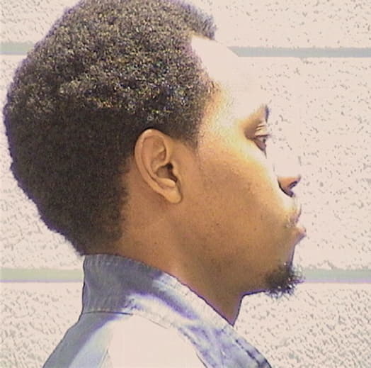 DOBSON, GERALD, Cook County  IL
