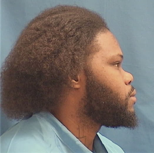 ANDERSON, STEVEN, Cook County  IL