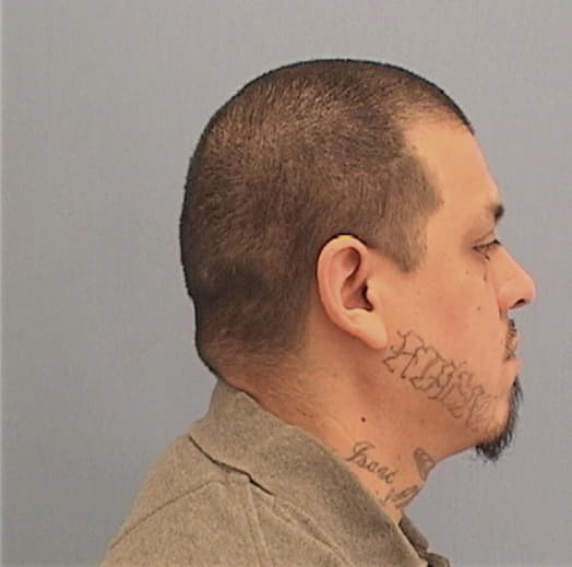 RODRIGUEZ, ANTHONY D., Lasalle County  IL