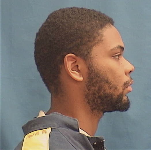 PAGE, MICHAEL C., Kane County  IL