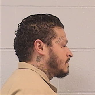 COLLAZO, DAVID, Cook County  IL