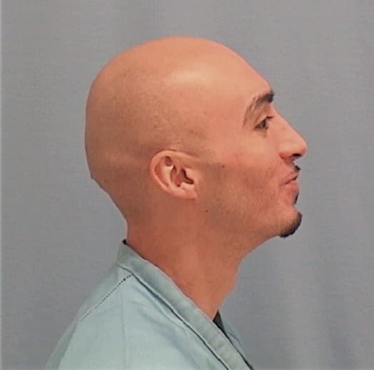 OJEDA, LUIS III, Kane County  IL