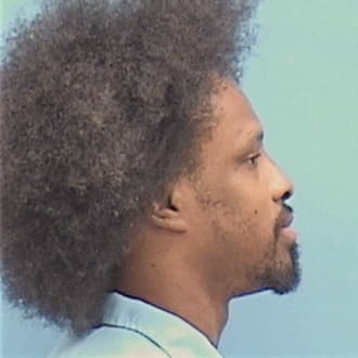 BROWN, TERRELL A., Vermilion County  IL