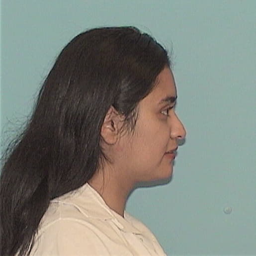 PEREZ-VARELA, YISEL G., Kankakee County  IL