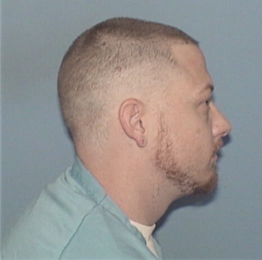 ROSS, PATRICK M., Vermilion County  IL