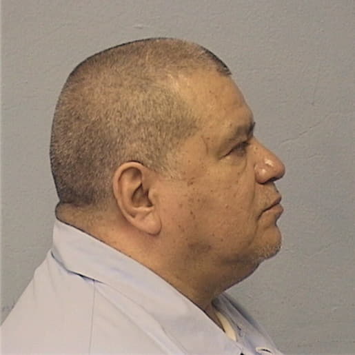 DELAFUENTE, PILAR, Will County  IL