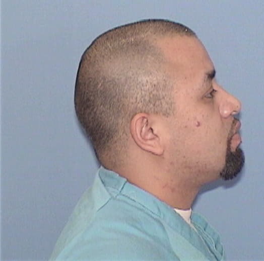 AMBRIZ, OMAR, Kane County  IL