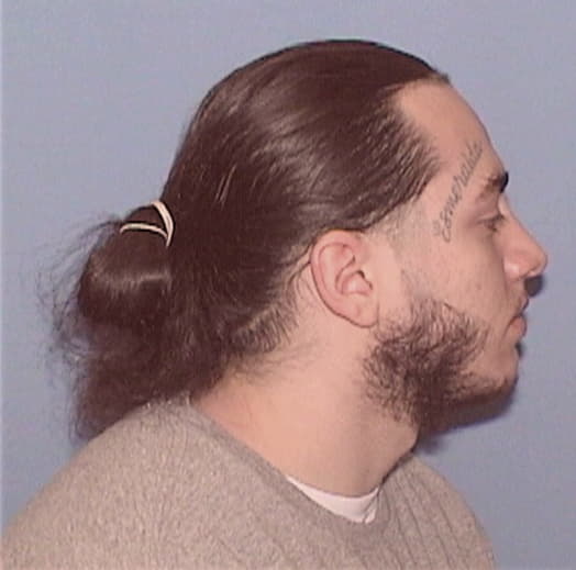 GONZALEZ, ORLANDO, Cook County  IL