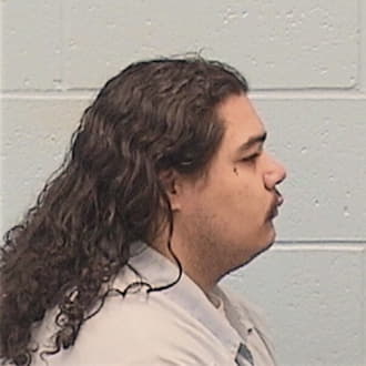 RENTERIA, ELVIN, Cook County  IL