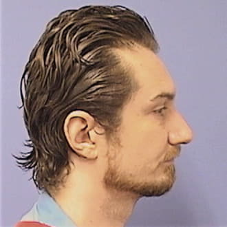 EVANS, FLOYD S., Sangamon County  IL