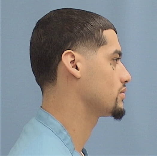 PABON, XAVIER, Cook County  IL