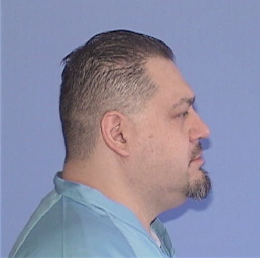 GUZMAN-USAN, GIANNI, Cook County  IL