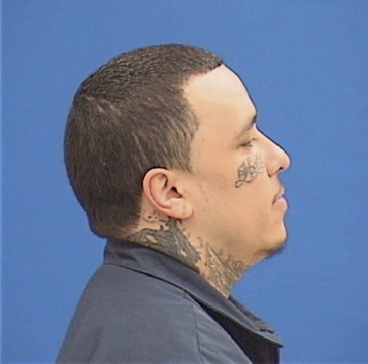 CHAVEZ, ARMANDO, Cook County  IL