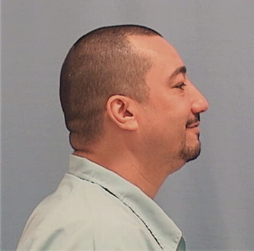 REYES, JUAN, Vermilion County  IL