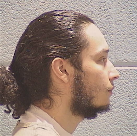 GOMEZ-CASTRO, NOE C., Lake County  IL