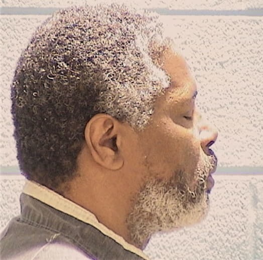 CHATMAN, GEORGE, Cook County  IL
