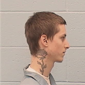 MAUK, PATRICK D., Sangamon County  IL
