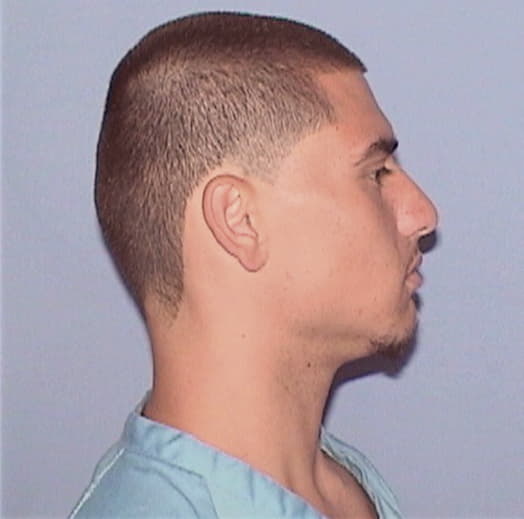 HOGAN, NICHOLAS T., Will County  IL