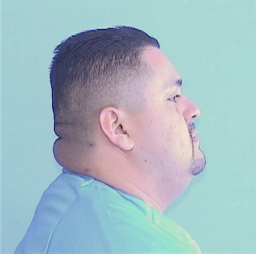 CASTELAN, MIGUEL A., Winnebago County  IL
