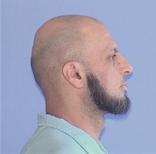 SALEH, JAMIL I., Ogle County  IL