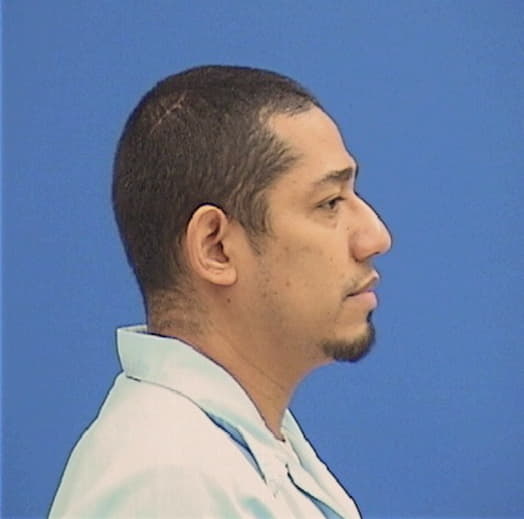 CHEGUE-TENORIO, JAMIE, Cook County  IL