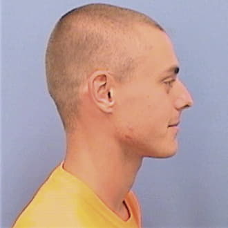 MITCHELL, CALVIN, Sangamon County  IL