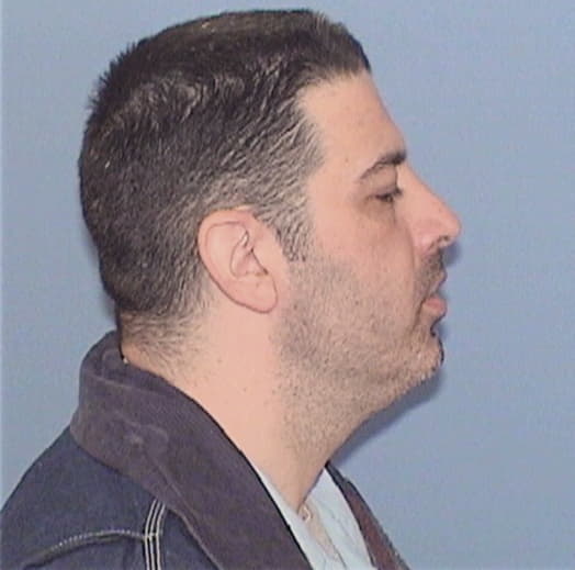 AMELIO, NICHOLAS J., Dupage County  IL