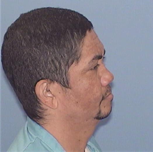 TORRES, ORELLANA R., Cook County  IL