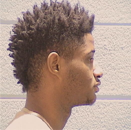 BAYS, DARNELL, Cook County  IL