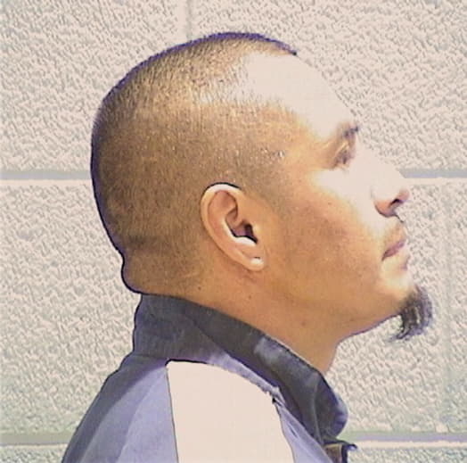 HERNANDEZ, MARGARITO, Cook County  IL