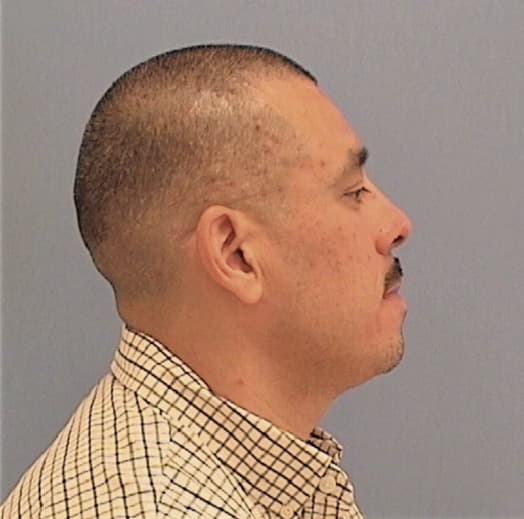 MESTAS, RODOLFO, Cook County  IL