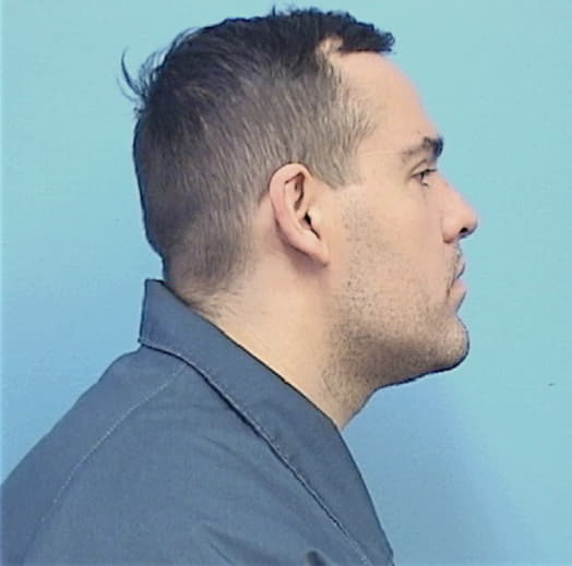 HOUSTON, JAMES E., Saline County  IL