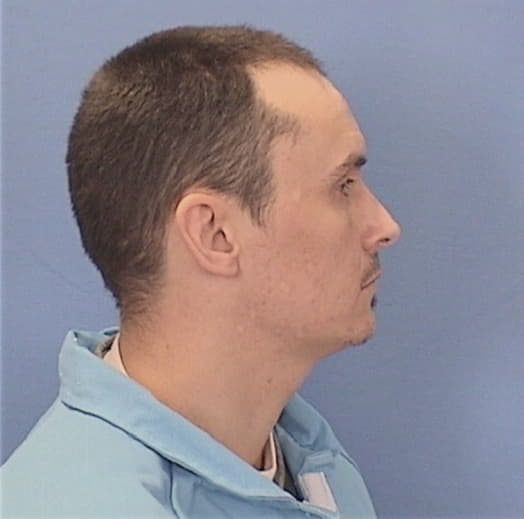 HAMMONS, MATTHEW A., Henry County  IL