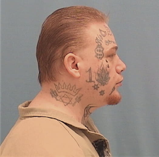 GULA, ROBERT J., Lasalle County  IL