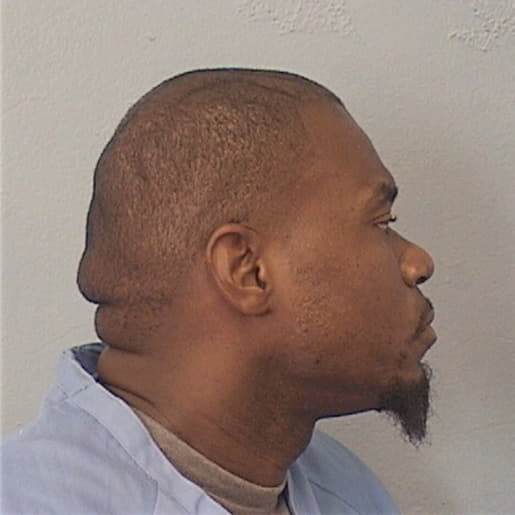 GUYTON, ROBERT, Kane County  IL