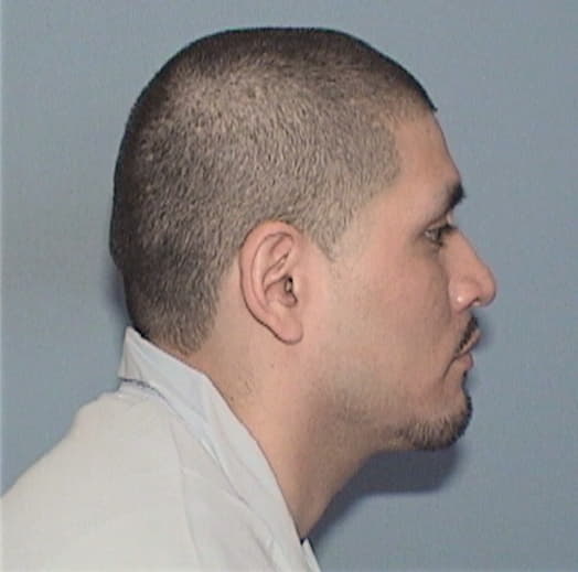 PENA, ARMANDO, Cook County  IL