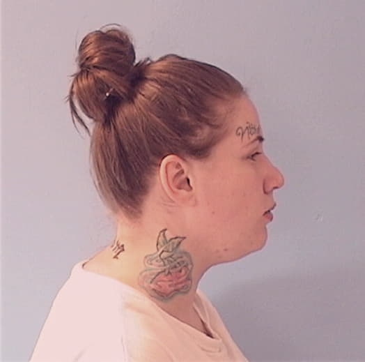 BOSS-WOOD, BRANDI A., Will County  IL