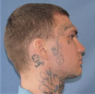 TINDLE, SETH A., Douglas County  IL