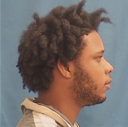 WILLIAMS, OCTAVION T., Sangamon County  IL