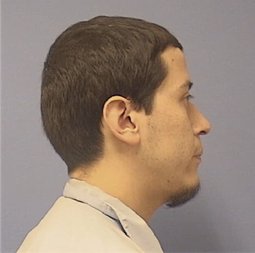 DIAZ, JOSE M., Boone County  IL