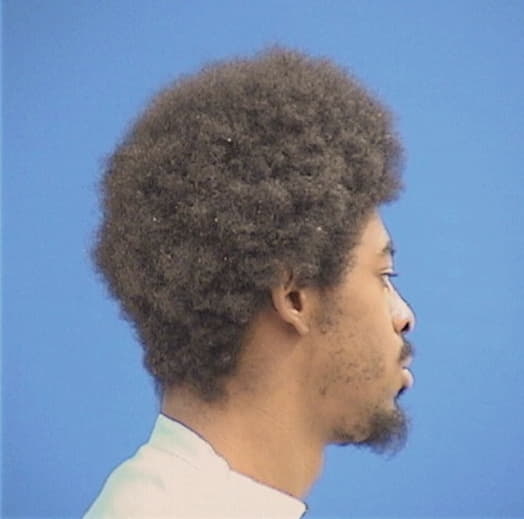 HINES, MICHAEL L., Cook County  IL