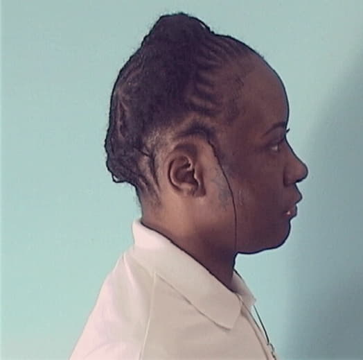 BROWN, VINSHAWNA, Cook County  IL