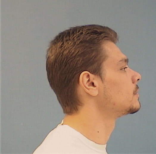 MENTENICK, CHRISTOPHER, DeKalb County  IL