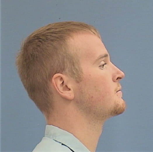 MANLEY, AUSTEN J., Tazewell County  IL