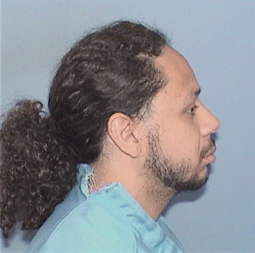MARTINEZ, CHRISTIAN, Cook County  IL