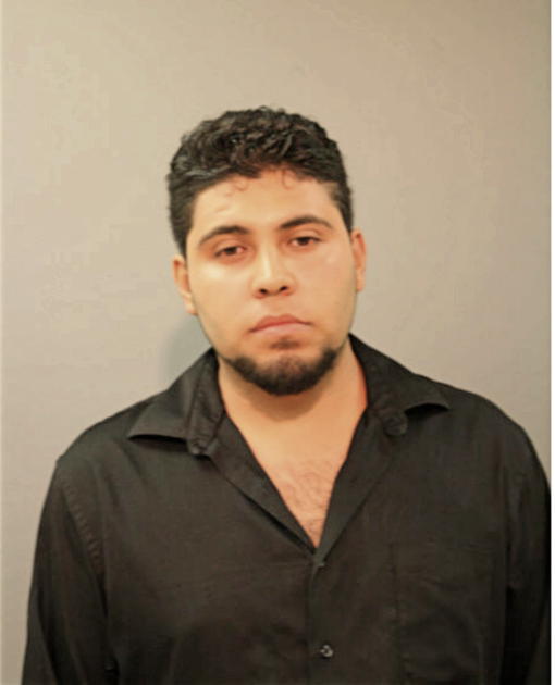 FRANCISCO JAVIER ALANIS-LUNA, Cook County, Illinois