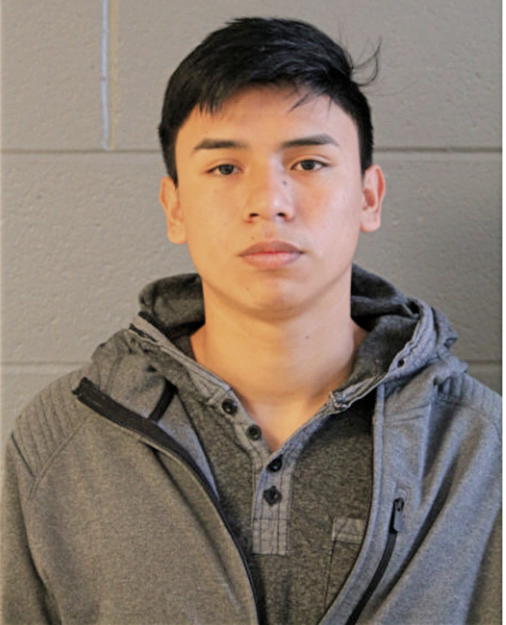 CARLOS ARCINIEGA, Cook County, Illinois