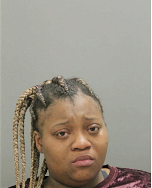 ASHLEY V BROCK, Cook County, Illinois