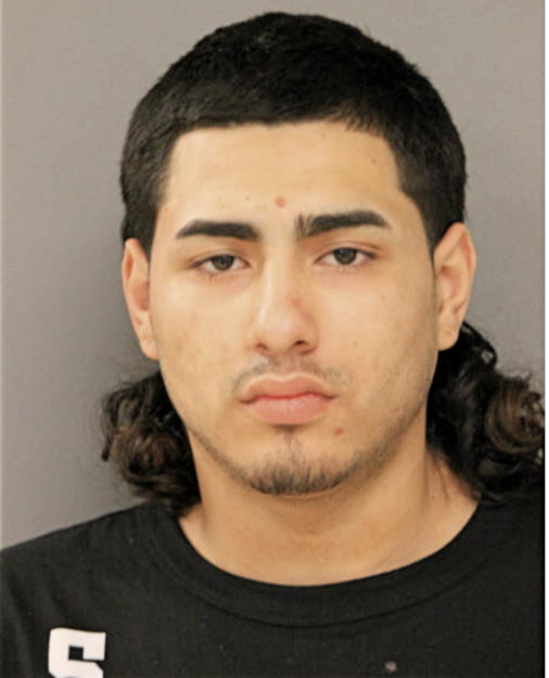 ANGEL D CASTILLO, Cook County, Illinois