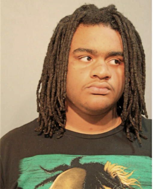 JAVON J COBB, Cook County, Illinois